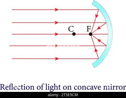 La réflexion des miroirs convexes et concaves, réflexion et miroirs sphériques, Optics.Vector illustration. Illustration de Vecteur