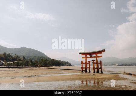 Itsukushima Jinja Otorii (Grande porte Torii), île de Miyajima, Hiroshima, Japon Banque D'Images