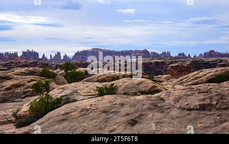 vue depuis la piste de rocher lisse dans le district de needles du parc national de canyonlands, près de moab, utah Banque D'Images