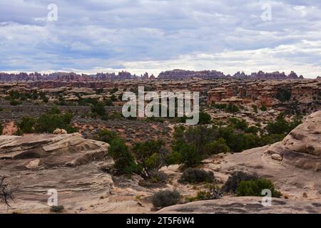 vue depuis la piste de rocher lisse dans le district de needles du parc national de canyonlands, près de moab, utah Banque D'Images