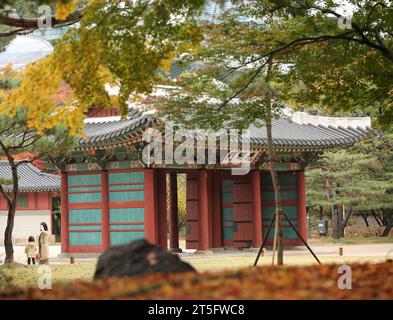 Séoul, Corée du Sud. 5 novembre 2023. Les gens visitent le Palais Deoksugung à Séoul, Corée du Sud, le 5 novembre 2023. Crédit : Yao Qilin/Xinhua/Alamy Live News Banque D'Images