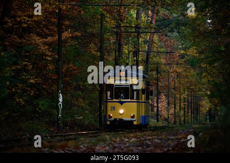 Straßenbahnromantik Die Straßenbahnlinie 87, fotografiert am 4. Novembre 2023, verkehrt zwischen dem S-Bahnhof Rahnsdorf und Woltersdorf dans le Brandebourg. SIE zählt zu den schönsten Straßenbahnstrecken à Berlin. VOR allem im Herbst ist sie das Ziel vieler Fotografen. Auf dem Bild ist ein sogenannter Gothawagen zu sehen. Die alten DDR-Straßenbahnen wurden im Waggonwerk Gotha gefertigt. Berlin Berlin Deutschland  JK13502 *** tramway romance ligne 87, photographiée le 4 novembre 2023, relie la station de S-Bahn Rahnsdorf à Woltersdorf dans le Brandebourg c'est l'un des plus beaux tramways Banque D'Images