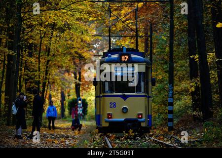 Straßenbahnromantik Die Straßenbahnlinie 87, fotografiert am 4. Novembre 2023, verkehrt zwischen dem S-Bahnhof Rahnsdorf und Woltersdorf dans le Brandebourg. SIE zählt zu den schönsten Straßenbahnstrecken à Berlin. VOR allem im Herbst ist sie das Ziel vieler Fotografen. Auf dem Bild ist ein sogenannter Gothawagen zu sehen. Die alten DDR-Straßenbahnen wurden im Waggonwerk Gotha gefertigt. Berlin Berlin Deutschland  JK13525 *** tramway romance ligne 87, photographiée le 4 novembre 2023, circule entre la station de S-Bahn Rahnsdorf et Woltersdorf dans le Brandebourg c'est l'une des plus belles stree Banque D'Images