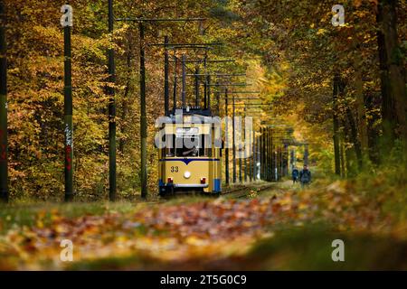 Straßenbahnromantik Die Straßenbahnlinie 87, fotografiert am 4. Novembre 2023, verkehrt zwischen dem S-Bahnhof Rahnsdorf und Woltersdorf dans le Brandebourg. SIE zählt zu den schönsten Straßenbahnstrecken à Berlin. VOR allem im Herbst ist sie das Ziel vieler Fotografen. Auf dem Bild ist ein sogenannter Gothawagen zu sehen. Die alten DDR-Straßenbahnen wurden im Waggonwerk Gotha gefertigt. Berlin Berlin Deutschland  JK13558 *** tramway romance ligne 87, photographiée le 4 novembre 2023, circule entre la station de S-Bahn Rahnsdorf et Woltersdorf dans le Brandebourg c'est l'un des plus beaux tramways Banque D'Images