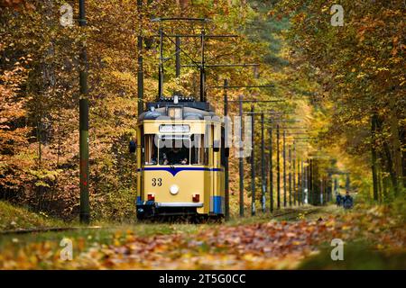 Straßenbahnromantik Die Straßenbahnlinie 87, fotografiert am 4. Novembre 2023, verkehrt zwischen dem S-Bahnhof Rahnsdorf und Woltersdorf dans le Brandebourg. SIE zählt zu den schönsten Straßenbahnstrecken à Berlin. VOR allem im Herbst ist sie das Ziel vieler Fotografen. Auf dem Bild ist ein sogenannter Gothawagen zu sehen. Die alten DDR-Straßenbahnen wurden im Waggonwerk Gotha gefertigt. Berlin Berlin Deutschland  JK13578 *** tramway romance ligne 87, photographiée le 4 novembre 2023, circule entre la station de S-Bahn Rahnsdorf et Woltersdorf dans le Brandebourg c'est l'un des plus beaux tramways Banque D'Images