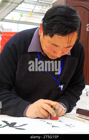 VILLE DE TANGSHAN - FÉVRIER 6 : le calligraphe Chen Peiyu scelle sur le travail de calligraphie, le 6 février 2014, ville de Tangshan, province de Hebei, Chine. Banque D'Images