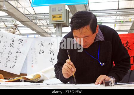 VILLE DE TANGSHAN - FÉVRIER 6 : le calligraphe Chen Peiyu scelle sur le travail de calligraphie, le 6 février 2014, ville de Tangshan, province de Hebei, Chine. Banque D'Images