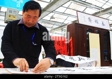 VILLE DE TANGSHAN - FÉVRIER 6 : le calligraphe Chen Peiyu scelle sur le travail de calligraphie, le 6 février 2014, ville de Tangshan, province de Hebei, Chine. Banque D'Images