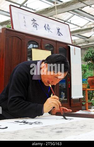 VILLE DE TANGSHAN - FÉVRIER 6 : le calligraphe Chen Peiyu scelle sur le travail de calligraphie, le 6 février 2014, ville de Tangshan, province de Hebei, Chine. Banque D'Images