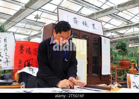 VILLE DE TANGSHAN - FÉVRIER 6 : le calligraphe Chen Peiyu scelle sur le travail de calligraphie, le 6 février 2014, ville de Tangshan, province de Hebei, Chine. Banque D'Images