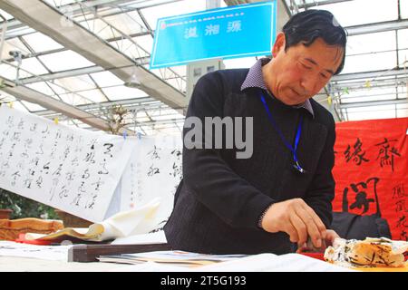 VILLE DE TANGSHAN - FÉVRIER 6 : le calligraphe Chen Peiyu scelle sur le travail de calligraphie, le 6 février 2014, ville de Tangshan, province de Hebei, Chine. Banque D'Images