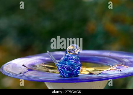 Un bain d'oiseaux en verre avec des feuilles dans l'eau Banque D'Images