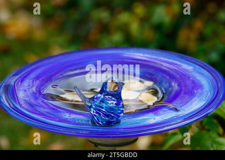 Un bain d'oiseaux en verre avec des feuilles dans l'eau Banque D'Images