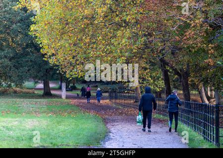 Iver, Buckinghamshire, Royaume-Uni. 5 novembre 2023. Ce fut une belle journée ensoleillée dans Langley Country Park à Wexham, Buckinghamshire où les gens aimaient marcher et faire du vélo dans le parc et s'imprégner des couleurs automnales. Crédit : Maureen McLean/Alamy Live News Banque D'Images