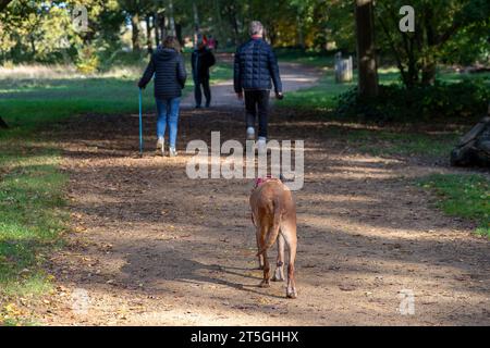 Iver, Buckinghamshire, Royaume-Uni. 5 novembre 2023. Ce fut une belle journée ensoleillée dans Langley Country Park à Wexham, Buckinghamshire où les gens aimaient marcher et faire du vélo dans le parc et s'imprégner des couleurs automnales. Crédit : Maureen McLean/Alamy Live News Banque D'Images