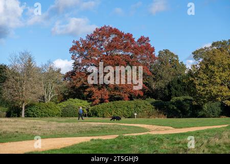 Iver, Buckinghamshire, Royaume-Uni. 5 novembre 2023. Ce fut une belle journée ensoleillée dans Langley Country Park à Wexham, Buckinghamshire où les gens aimaient marcher et faire du vélo dans le parc et s'imprégner des couleurs automnales. Crédit : Maureen McLean/Alamy Live News Banque D'Images