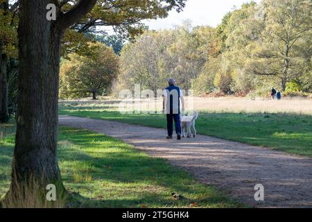 Iver, Buckinghamshire, Royaume-Uni. 5 novembre 2023. Ce fut une belle journée ensoleillée dans Langley Country Park à Wexham, Buckinghamshire où les gens aimaient marcher et faire du vélo dans le parc et s'imprégner des couleurs automnales. Crédit : Maureen McLean/Alamy Live News Banque D'Images