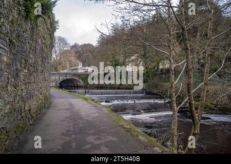 Promenade hivernale de la rivière Tavistock sur le sentier historique Banque D'Images