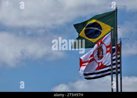 Sao Paulo, Brésil. 05 novembre 2023. Atmosphère du circuit - drapeaux. Championnat du monde de Formule 1, Rd 21, Grand Prix du Brésil, dimanche 5 novembre 2023. Sao Paulo, Brésil. Crédit : James Moy/Alamy Live News Banque D'Images