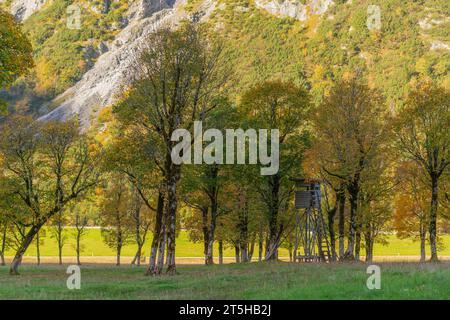 Foilage d'automne coloré dans l'Ahorn Boden, Maple Ground, Engtal ou Eng Valley, réserve naturelle Karwendel Masif, les Alpes, Tyrol, Autriche, Banque D'Images