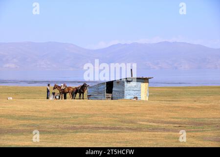 Août 23 2023 - lac Song kol au Kirghizistan : les nomades vivent leur vie ordinaire sur les pâturages d'été Banque D'Images