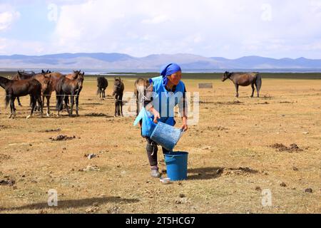 Août 23 2023 - lac Song kol au Kirghizistan : les nomades vivent leur vie ordinaire sur les pâturages d'été Banque D'Images