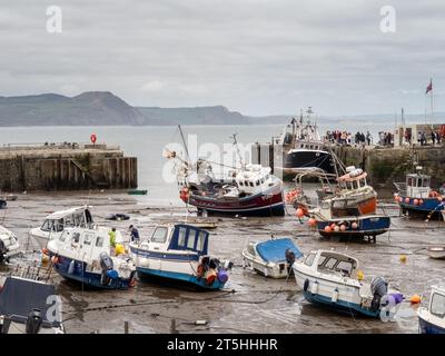 LYME REGIS, DORSET, Royaume-Uni - MAI 7 2023 : vue sur le Cobb et le port avec bateaux. Marée vers l'intérieur. Banque D'Images