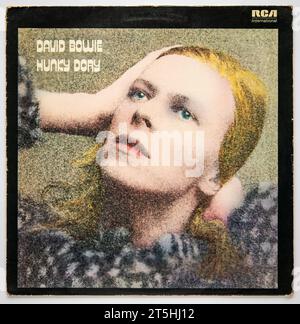 Reprise LP de Hunk Dory, le quatrième album studio de David Bowie, sorti en 1971 Banque D'Images