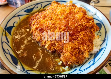 Vue rapprochée d'un bol de poulet japonais au curry katsu servi avec du riz Banque D'Images