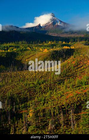 Mt Washington du Mt Washington, Pass-Santiam Point McKenzie National Scenic Byway, forêt nationale de Deschutes, Oregon Banque D'Images