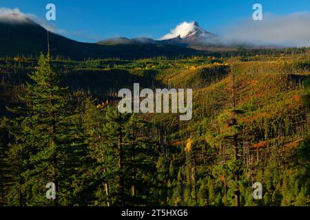 Mt Washington du Mt Washington, Pass-Santiam Point McKenzie National Scenic Byway, forêt nationale de Deschutes, Oregon Banque D'Images