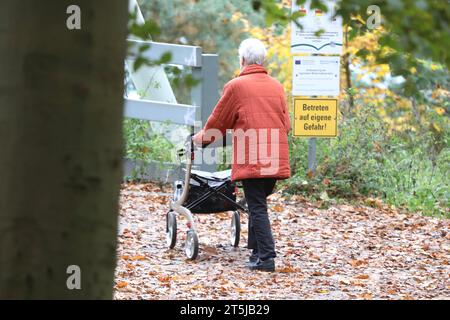 Usedom, Mecklenburg-Vorpommern, Deutschland, 05.11.2023 : Seniorin geht im Wald spazieren, auf einem Schild vor einem Strandzugang mit einer steilen Treppe steht Betrett auf eigene Gefahr *** Usedom, Mecklenburg-Vorpommern, Allemagne, 05 11 2023 un citoyen âgé part pour une promenade dans la forêt un panneau devant un accès à la plage avec un escalier raide indique entrer à vos propres risques Copyright : xdtsxNachrichtenagenturx dts 25182 crédit : Imago/Alamy Live News Banque D'Images