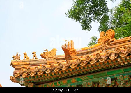 Sculptures d'animaux sur l'avant-toit, style architectural traditionnel chinois, gros plan de la photo Banque D'Images