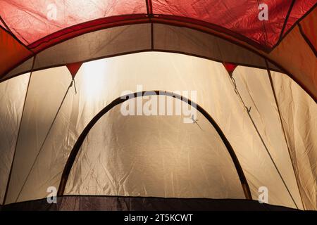 Un Cast de Silhouette de lézard à l'intérieur d'Une tente de camping éclairée par la lumière du jour. Banque D'Images