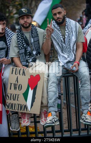 F signe de solution à deux États. Manifestation pro-palestinienne à la Maison Blanche. Washington D.C. États-Unis. 4 novembre 2023 Banque D'Images