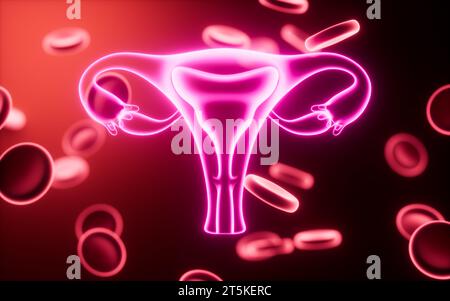 Utérus et cellules sanguines, concept biologique médical, rendu 3D. illustration 3d. Banque D'Images