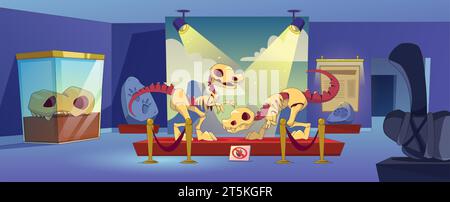 Décoration intérieure de musée d'archéologie nocturne. Illustration vectorielle contemporaine de squelettes de dinosaures et de crâne, outils de l'âge de pierre, empreinte fossile à l'exposition, éducation scientifique, artefacts d'évolution Illustration de Vecteur