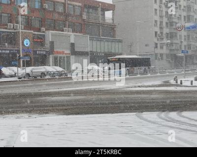 Vue de la première tempête de neige de 2023 à Shenyang, province du Liaoning, Chine, le 6 novembre 2023. Banque D'Images