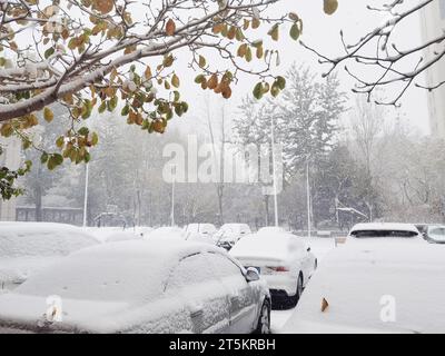 Vue de la première tempête de neige de 2023 à Shenyang, province du Liaoning, Chine, le 6 novembre 2023. Banque D'Images