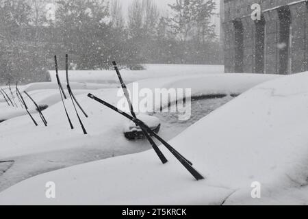 Vue de la première tempête de neige de 2023 à Shenyang, province du Liaoning, Chine, le 6 novembre 2023. Banque D'Images