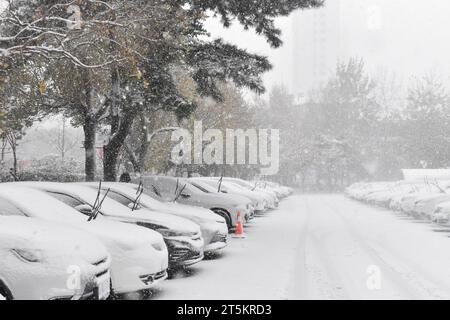 Vue de la première tempête de neige de 2023 à Shenyang, province du Liaoning, Chine, le 6 novembre 2023. Banque D'Images