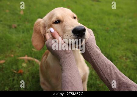 Femme caressant adorable chiot Labrador Retriever sur l'herbe verte dans le parc, closeup Banque D'Images