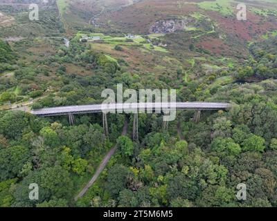 Viaduc de Meldon viaduc de chemin de fer désaffecté nr Okehampton, Devon, maintenant une piste de marche / vélo et une partie de la route de diversion Exeter-Plymouth Banque D'Images