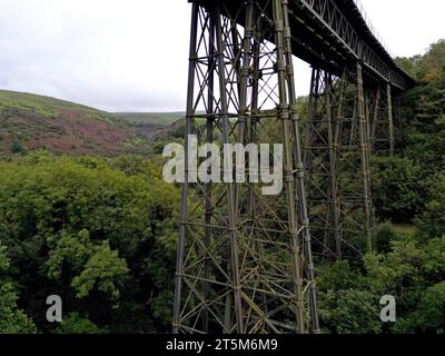 Meldon Viaduct a disused railway viaduct nr Okehampton, Devon, now a walking/cycling path & part of the potentional diversionary route Exeter-Plymouth Stock Photo