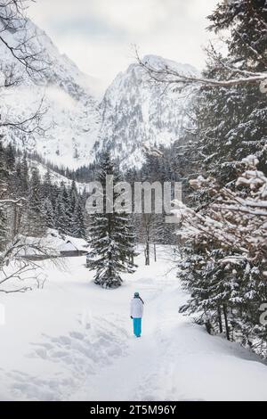 Panorama hivernal de forêt de montagne avec des sapins enneigés. Femme marchant dans la forêt. Banque D'Images