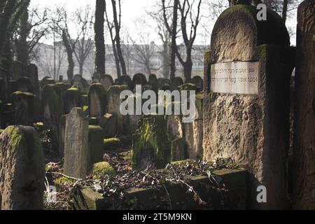 Cracovie, Pologne - 9 février 2020 : pierres tombales au milieu des sous-bois dans le nouveau cimetière juif de la rue Miodowa. Le cimetière négligé et envahi Banque D'Images