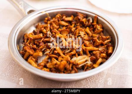 Champignons chanterelles délicieusement frits dans une poêle Banque D'Images