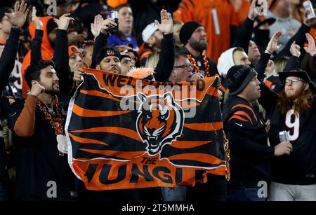 Cincinnati, États-Unis. 05 novembre 2023. Les fans de football encouragent leur équipe lors du match entre les Bills de Baffalo et les Bengals de Cincinnati au Paycor Stadium le dimanche 5 novembre 2023 à Cincinnati, Ohio. Photo de John Sommers II/UPI crédit : UPI/Alamy Live News Banque D'Images