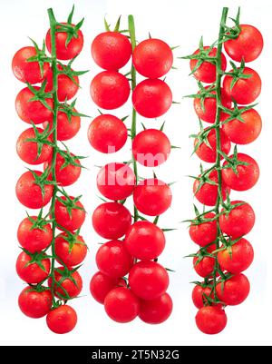 Trois tomates cerises rouges sur branche avec des gouttes d'eau isolées sur fond blanc. Banque D'Images