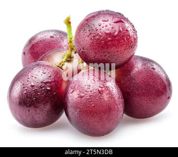 Petit bouquet de raisin de table rouge recouvert de gouttes d'eau isolé sur fond blanc. Banque D'Images